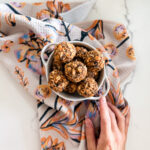 Oatmeal Protein Balls