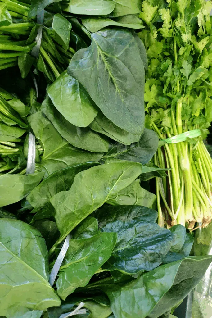 Leafy Green Recipe ideas Leafy Green Recipes