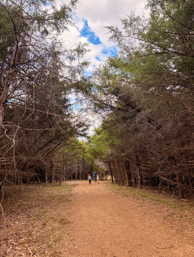 Make Like A Tree And Leave