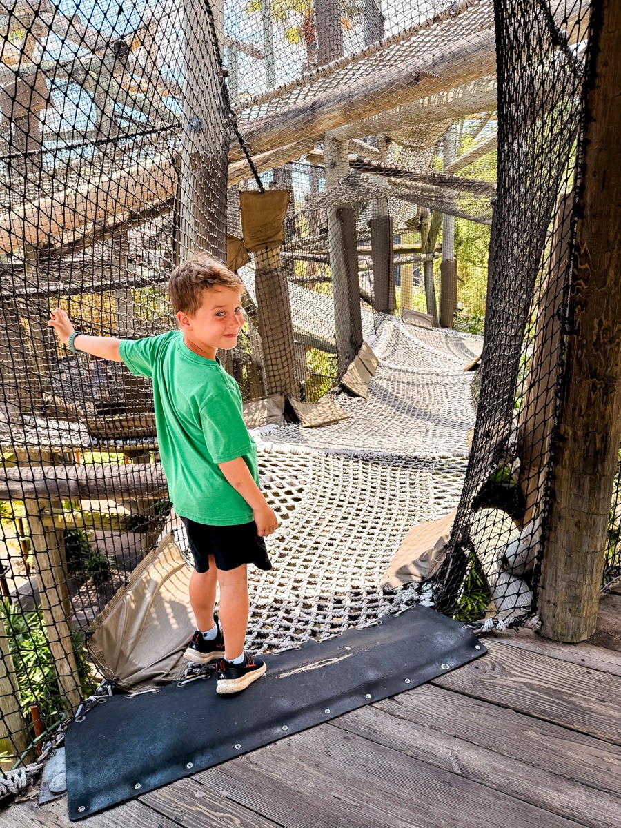 Jurassic playground at Universal Islands of Adventure